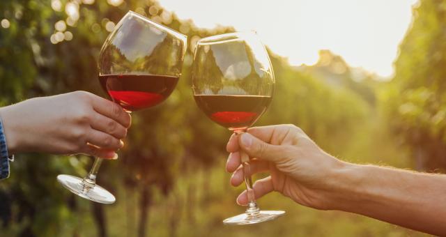 Nouveautés vins rouges