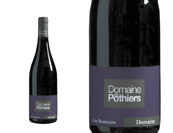Domaine des Pothiers Cuvée Domaine 2024