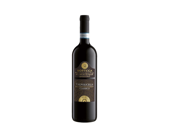 Bottega Valpolicella Classico 2023