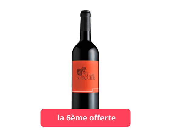 Mas De La Séranne A L'Ombre Du Figuier 2024