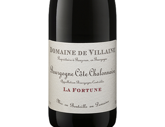 Domaine De Villaine Bourgogne Rouge 2021