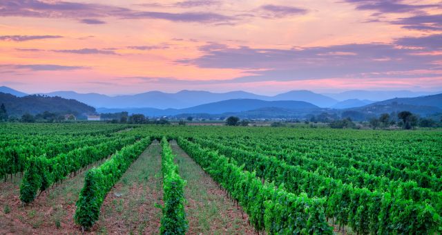 Promotion Languedoc-Roussillon