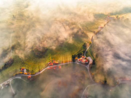 Climat et vendanges : comment les vignerons s'adaptent aux caprices de la météo