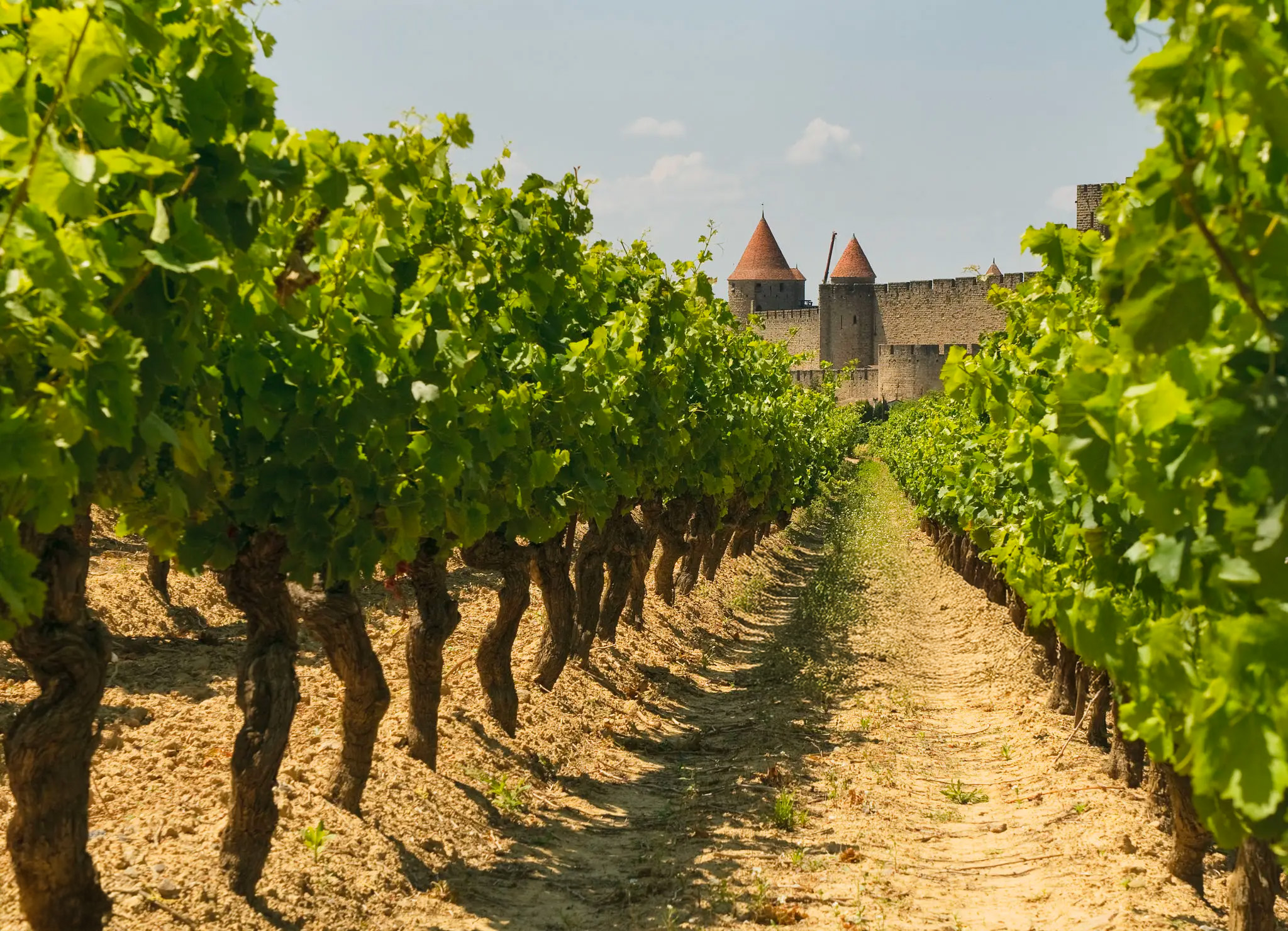 Languedoc-Roussillon