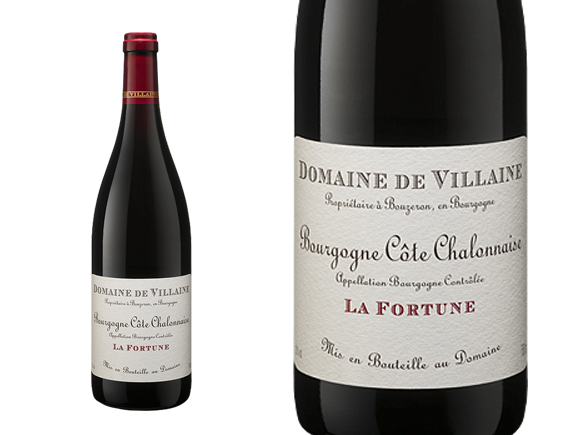Domaine De Villaine Bourgogne Rouge 2021