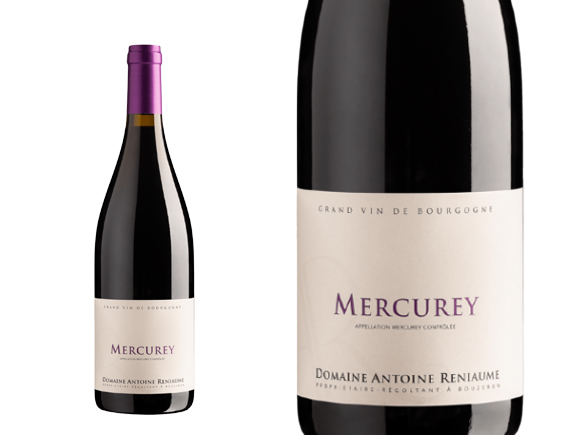 Antoine Reniaume Mercurey Rouge 2024