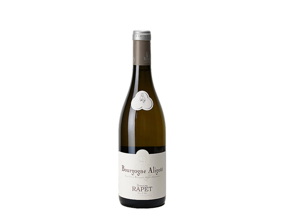 Domaine Rapet Bourgogne Aligoté 2023
