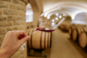 Un trésor caché sous la ville de Reims