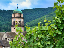 Partez à la découverte du vignoble alsacien