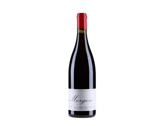 Domaine Marcel Lapierre Morgon 2022