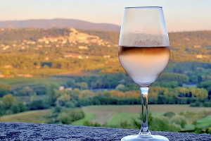 4 anecdotes sur le vin qui vont vous surprendre !