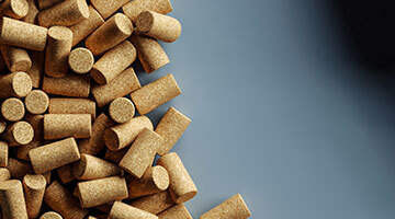 Comment déguster et parler d'un vin ?