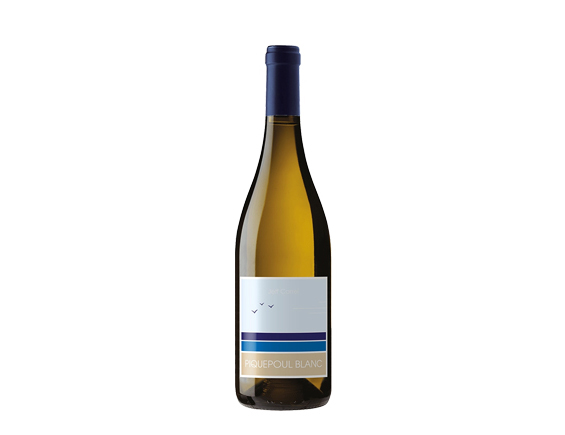 Piquepoul Blanc Iode & Mer 2024 By Jeff Carrel