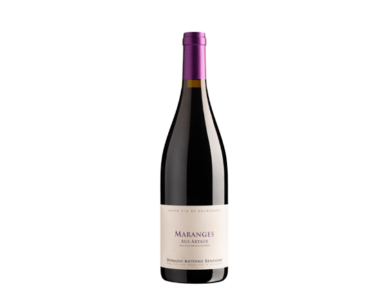 Antoine Reniaume Rully 1er Cru Cloux Rouge 2022