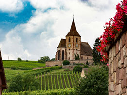 Vins d'Alsace : guide des Cépages, Terroirs et Appellations