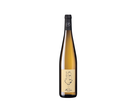 Domaine Bonnet-Huteau Plant-B 2021