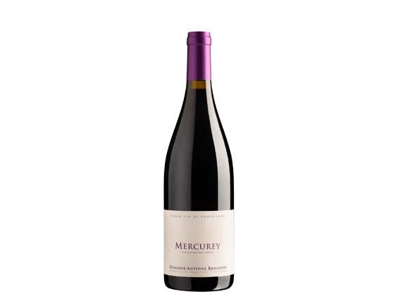 Antoine Reniaume Mercurey Rouge 2024