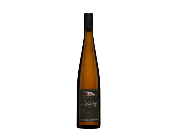 Chapoutier Alsace Riesling Lieu-Dit Fels 2021