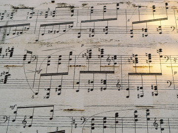 La musique dans les vignes !