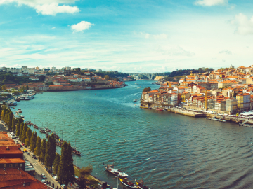Partez à la découverte des vins du Portugal !